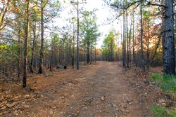 Stone Bridge Phase II Tract 119