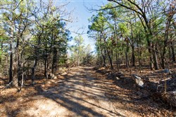Stone Bridge Phase II Tract 122