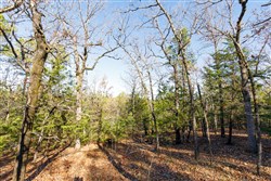 Stone Bridge Phase II Tract 122