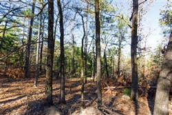 Stone Bridge Phase II Tract 122