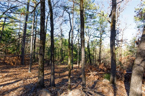 Stone Bridge Phase II Tract 122