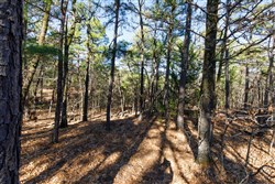 Stone Bridge Phase II Tract 122