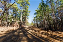Stone Bridge Phase II Tract 122