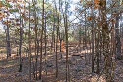 Stone Bridge Phase II Tract 122