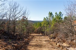 Stone Bridge Phase II Tract 125