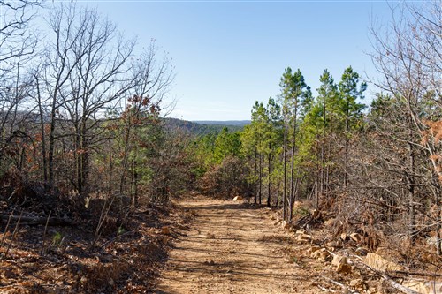 Stone Bridge Phase II Tract 125