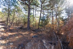 Stone Bridge Phase II Tract 125