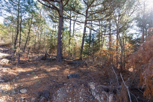 Stone Bridge Phase II Tract 125