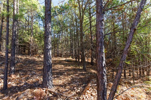 Stone Bridge Phase II Tract 125