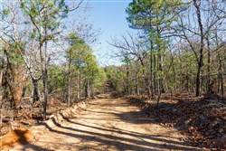 property photo for Stone Bridge Phase II Tract 128, 65.45 acres for sale in LatimerHaskell County, Oklahoma