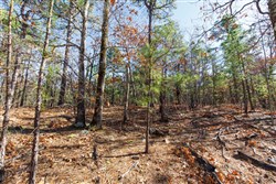 property photo for Stone Bridge Phase II Tract 128, 65.45 acres for sale in LatimerHaskell County, Oklahoma