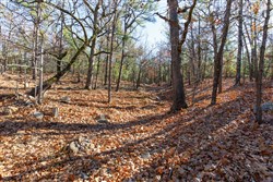 property photo for Stone Bridge Phase II Tract 128, 65.45 acres for sale in LatimerHaskell County, Oklahoma