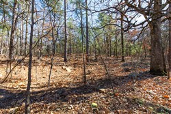 property photo for Stone Bridge Phase II Tract 128, 65.45 acres for sale in LatimerHaskell County, Oklahoma