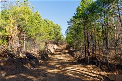 property photo for Stone Bridge Phase II Tract 128, 65.45 acres for sale in LatimerHaskell County, Oklahoma