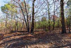 property photo for Stone Bridge Phase II Tract 128, 65.45 acres for sale in LatimerHaskell County, Oklahoma
