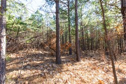 property photo for Stone Bridge Phase II Tract 129, 78.92 acres for sale in LatimerHaskell County, Oklahoma