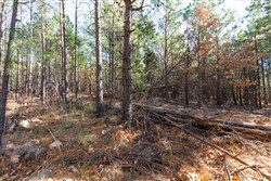 property photo for Stone Bridge Phase II Tract 129, 78.92 acres for sale in LatimerHaskell County, Oklahoma