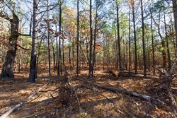 property photo for Stone Bridge Phase II Tract 129, 78.92 acres for sale in LatimerHaskell County, Oklahoma