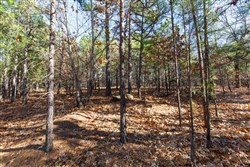 property photo for Stone Bridge Phase II Tract 129, 78.92 acres for sale in LatimerHaskell County, Oklahoma
