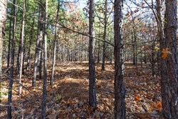 property photo for Stone Bridge Phase II Tract 129, 78.92 acres for sale in LatimerHaskell County, Oklahoma
