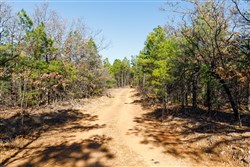 property photo for Stone Bridge Phase II Tract 130, 74.58 acres for sale in LatimerHaskell County, Oklahoma