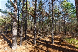 property photo for Stone Bridge Phase II Tract 130, 74.58 acres for sale in LatimerHaskell County, Oklahoma