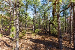 property photo for Stone Bridge Phase II Tract 130, 74.58 acres for sale in LatimerHaskell County, Oklahoma