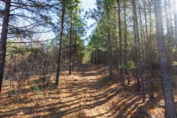 property photo for Stone Bridge Phase II Tract 130, 74.58 acres for sale in LatimerHaskell County, Oklahoma