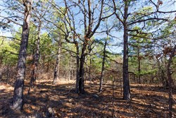 property photo for Stone Bridge Phase II Tract 130, 74.58 acres for sale in LatimerHaskell County, Oklahoma
