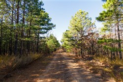 Stone Bridge Phase II Tract 131