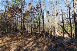 Stone Bridge Phase II Tract 131