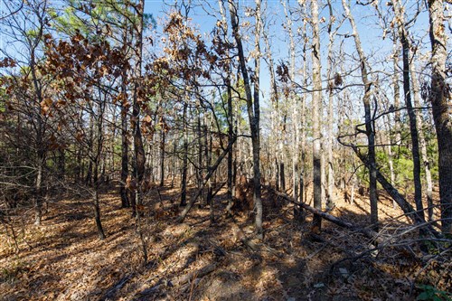 Stone Bridge Phase II Tract 131