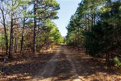 Stone Bridge Phase II Tract 131