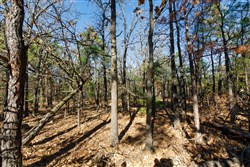 Stone Bridge Phase II Tract 131