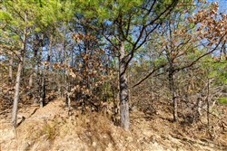 Stone Bridge Phase II Tract 131