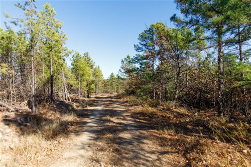 Stone Bridge Phase II Tract 133