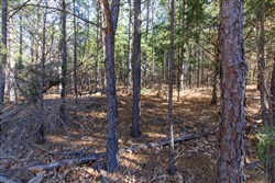 Stone Bridge Phase II Tract 133