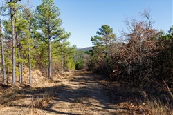 Stone Bridge Phase II Tract 133