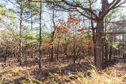 Stone Bridge Phase II Tract 133