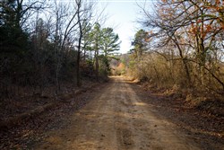 Stone Bridge Phase II Tract 73