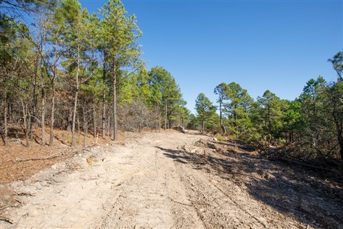 Stone Bridge Phase II Tract 95