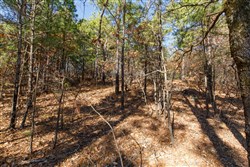 Stone Bridge Phase II Tract 95
