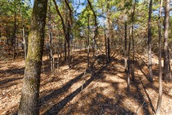 Stone Bridge Phase II Tract 95