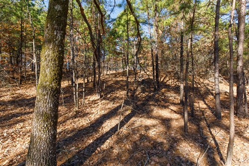 Stone Bridge Phase II Tract 95