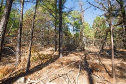 Stone Bridge Phase II Tract 95