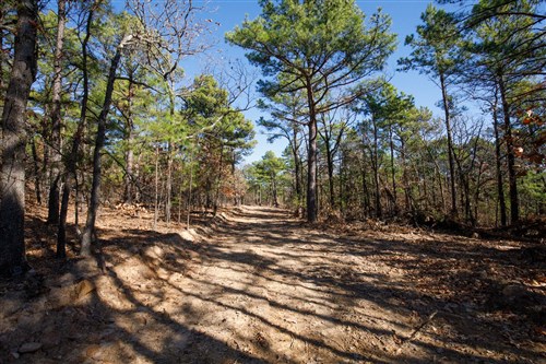 Stone Bridge Phase II Tract 97