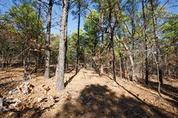Stone Bridge Phase II Tract 97