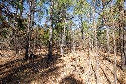 Stone Bridge Phase II Tract 97