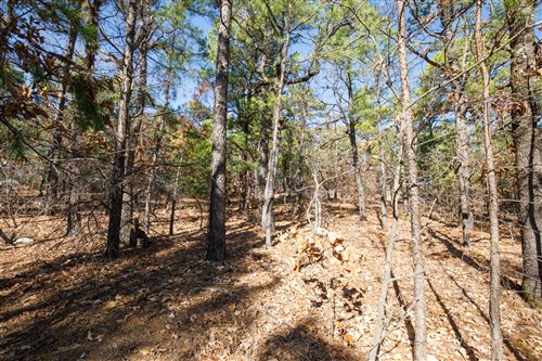 Stone Bridge Phase II Tract 97