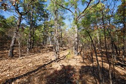 Stone Bridge Phase II Tract 97
